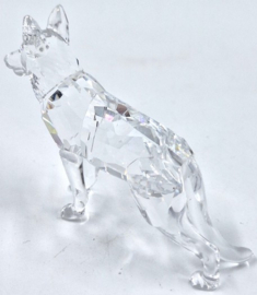 Duitse herdershond 7619/000/007