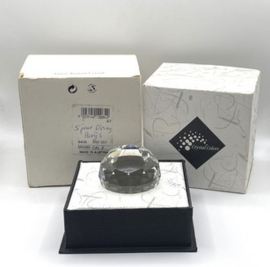 Disneyland Parijs 5 jaar 9406/050/001