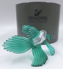 Siamese vechtvis groen 7644/000/006