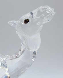 Dromedaris 7603/000/004