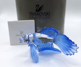 Siamese vechtvis blauw 7644/000/005