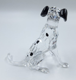 Dalmatiër moeder 7619/000/010