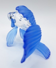 Siamese vechtvis blauw 7644/000/005