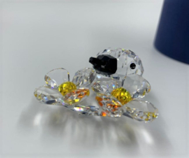 Lieveheersbeestje op bloem 9100/000/035