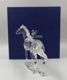 Merrie / paard 9100/000/045