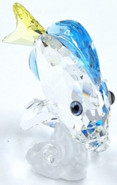 Doktersvis 9100/000/067