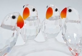 Dwergpapegaaien 7621/000/005