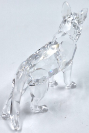 Duitse herdershond 7619/000/007