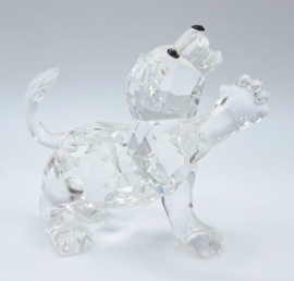 Leeuwenjong 7603/000/001