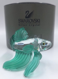 Siamese vechtvis groen 7644/000/006