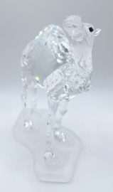 Dromedaris 7603/000/004