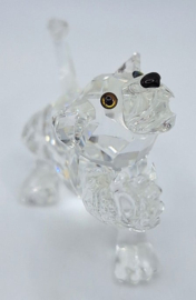 Leeuwenjong 7603/000/001