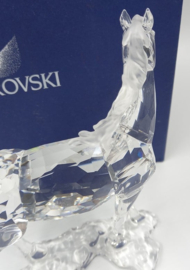 Merrie / paard 9100/000/045