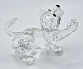 Leeuwenjong 7603/000/001