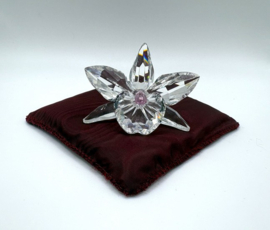 Lichtroze orchidee 7478/000/003