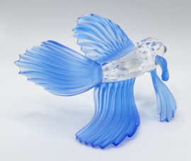 Siamese vechtvis blauw 7644/000/005