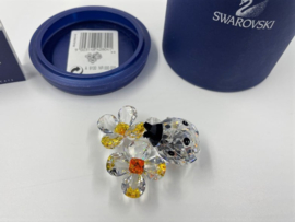 Lieveheersbeestje op bloem 9100/000/035