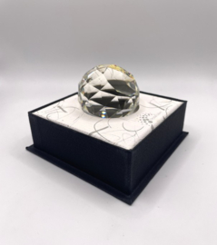 Disneyland Tokyo 15 jaar 9406/060/001