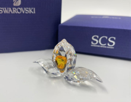 SCS 2018 Afrikaanse orchidee 5301553