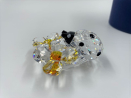 Lieveheersbeestje op bloem 9100/000/035