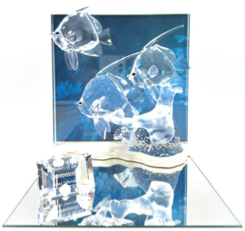 Community jaarstuk 2007 9100/000/044 + plaquette