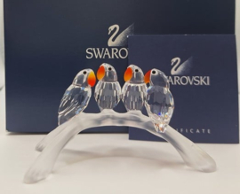 Dwergpapegaaien 7621/000/005