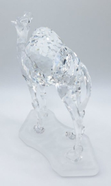 Dromedaris 7603/000/004