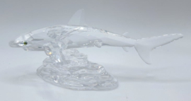 Baby haai 7644/000/007