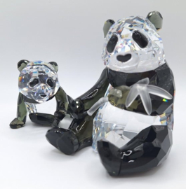 Jaarstuk 2008 - de Panda's 9100/000/086