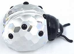 Lieveheersbeestje 7604/000/001