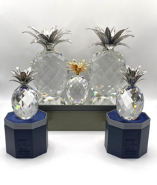 Rechthoekig spiegel basement