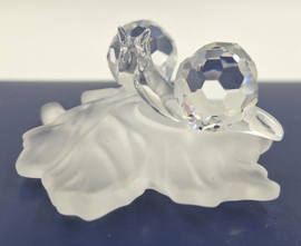 Baby slakken op blad 7550/000/009