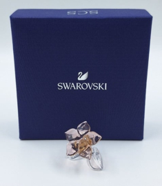 SCS Desert Rose 5557914