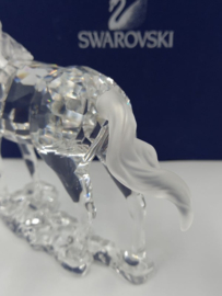 Merrie / paard 9100/000/045