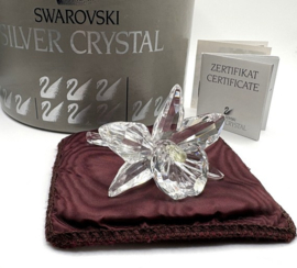 Donkergele orchidee 7478000002