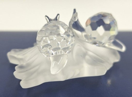 Baby slakken op blad 7550/000/009