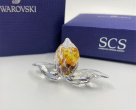 SCS 2018 Afrikaanse orchidee 5301553