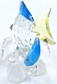 Doktersvis 9100/000/067