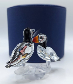 Papegaaiduikers 7621/000/008