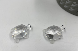 2 baby schildpadden 7632/000/002