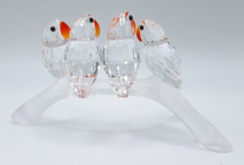 Dwergpapegaaien 7621/000/005