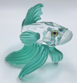 Siamese vechtvis groen 7644/000/006