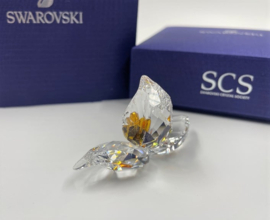 SCS 2018 Afrikaanse orchidee 5301553