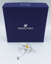 SCS wild flower 5244642