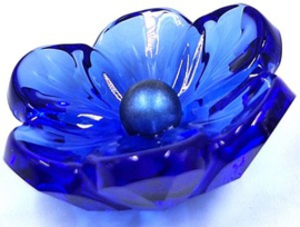 Idyllia SCS 2026 Anemone 5719806