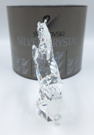 Paard, witte hengst 7612/000/001