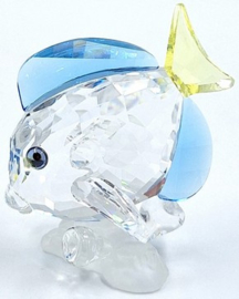 Doktersvis 9100/000/067