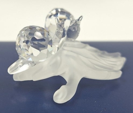 Baby slakken op blad 7550/000/009