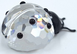 Lieveheersbeestje 7604/000/001