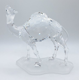 Dromedaris 7603/000/004